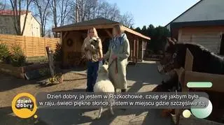 Witamy małą owieczkę (napisy)