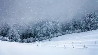 Pogoda na sobotę. Zawieje śnieżne oraz ujemne temperatury w kilku regionach