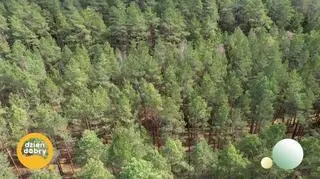 Tajniki biwakowania 