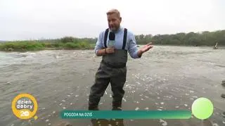 Pogoda na dziś - niski poziom Wisły 
