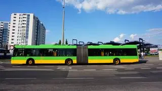 Autobus potrącił jedenastolatkę  