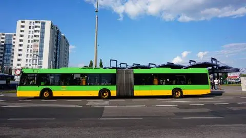 Autobus potrącił jedenastolatkę  