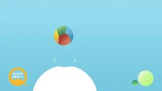 O co chodzi z “Zośką”?