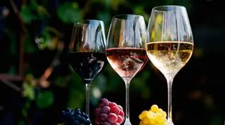 wino 