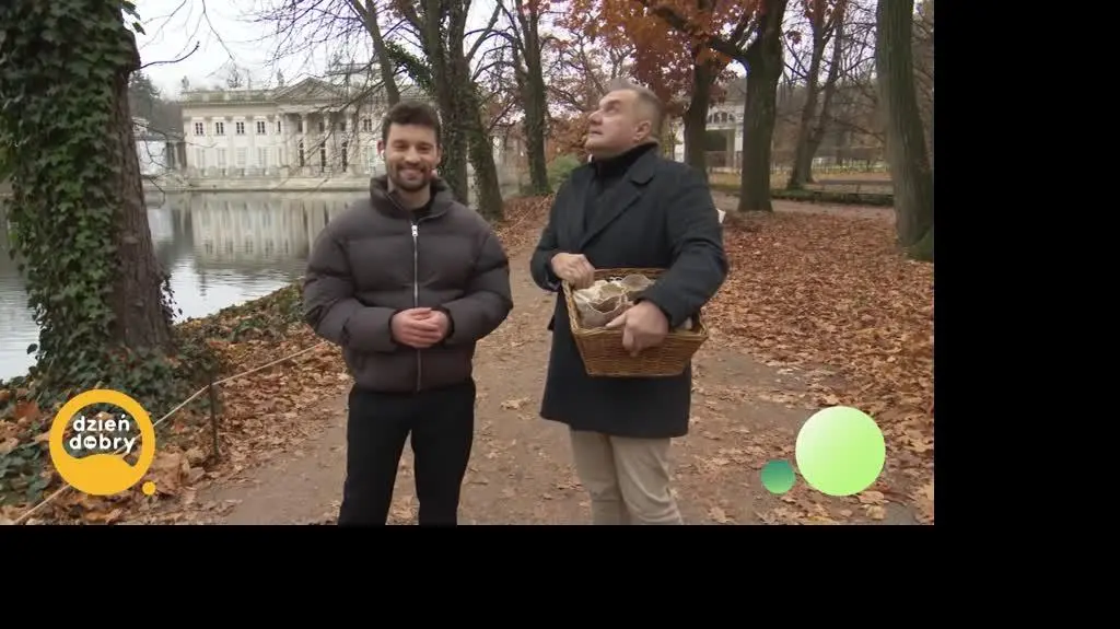 DD_20241114_Ptaki_REP