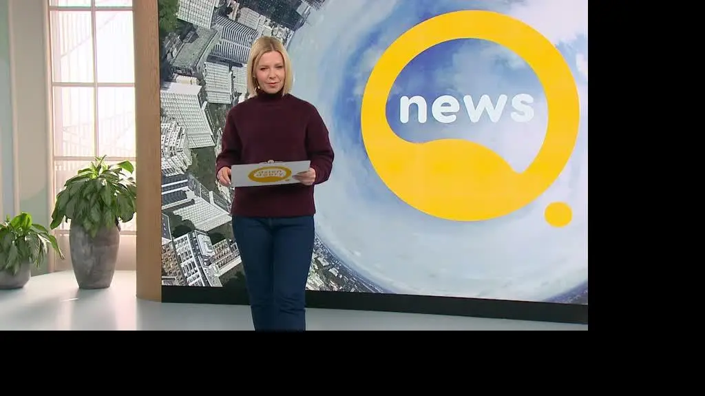 DD_20241019_Newsy_3_REP