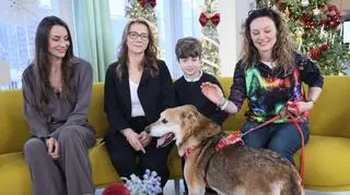 Mróz w schroniskach to realne zagrożenie dla psów. Jak możesz pomóc? 