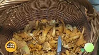 Idziemy na kurki - napisy
