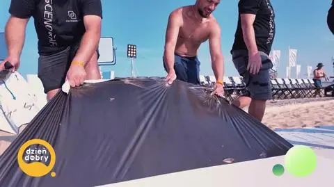 DD_20241106_TM_rep_REP_napisy