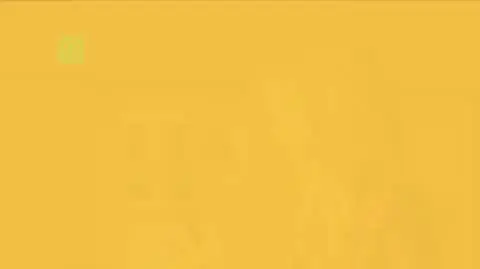 "N