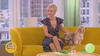 Monika Dryl prowadzi tymczasowy dom dla psów. "Trzeba mieć otwarte serce"