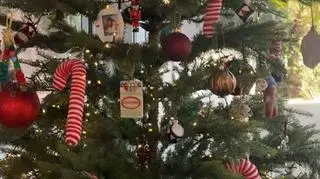 Choinka Mariny Szczęsnej