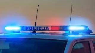 Zniknęła, mówiąc że idzie po paczkę. Tragiczny finał poszukiwań 18-letniej Emilii