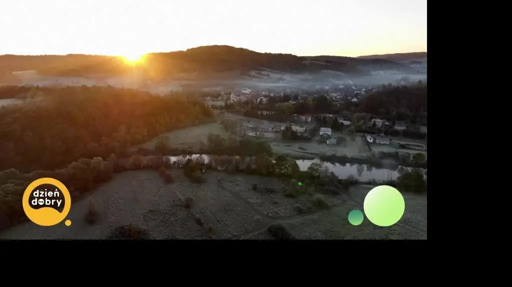 DD_20251103_Tarnina_rep