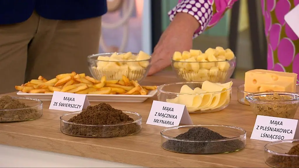 mąka z owadów