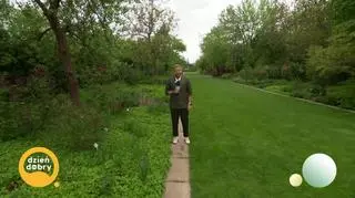 Pogoda na dziś