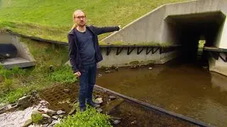 Zwierzostrady