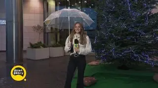 W poszukiwaniu słońca 