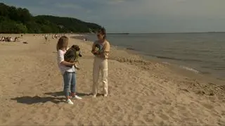 Gdzie można plażować w Polsce ze zwierzakiem? 