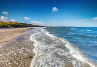 Sinice znów w Bałtyku. Które kąpieliska zostały zamknięte?