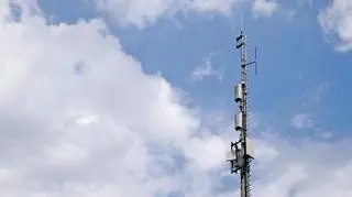 Eelektrosmog. Czy faktycznie trzeba się go obawiać?