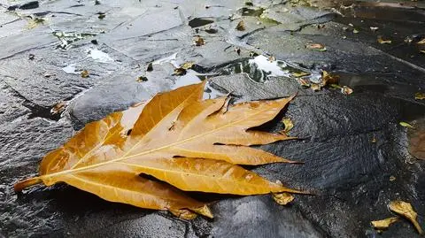 Pogoda na weekend. Nadchodzi niż Kilian. Czego się spodziewać?