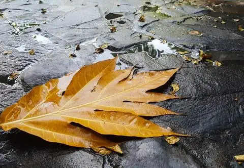 Pogoda na weekend. Nad Polskę nadchodzi niż Kilian 