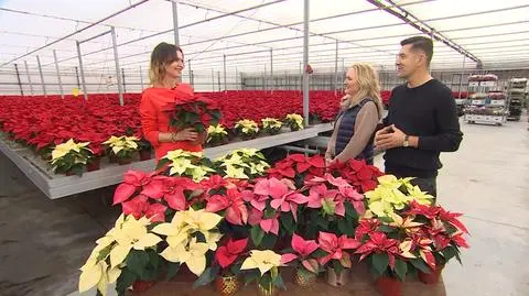 Ada Babiuch i Piotr Babiuch