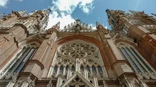 La Plata w Argentynie – co warto w nim zobaczyć?