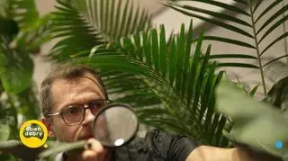 Sposoby na szkodniki 