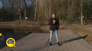 Dziś święto lasów