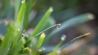 Pogoda na niedzielę. Gdzie może zagrzmieć?