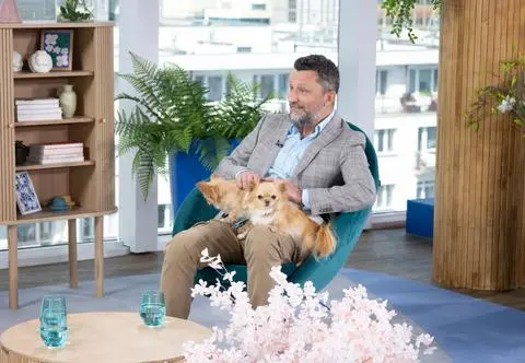Mały pies z wielkim charakterem. Behawiorysta zdradza tajemnice rasy chihuahua