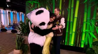 Chcesz zostać przytulaczem pandy? Na czym polega ta praca?