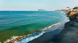 Kamakura to popularny kierunek turystyczny. Co warto tam zobaczyć?