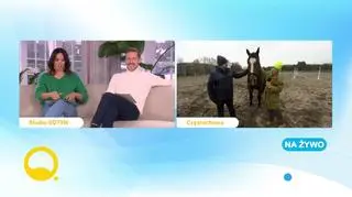 Pierwszy polski serial w mediach społecznościowych 