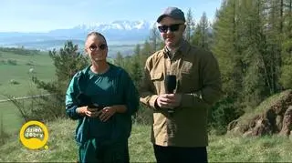 Małgorzata Rozenek-Majdan walczy o tytuł Królowej Równowagi 