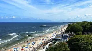 To danie jest hitem wakacji nad polskim morzem. Sprawdź, jak je zrobić