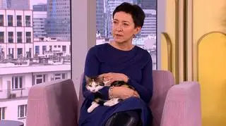 Nierówna walka mruczków z meblami