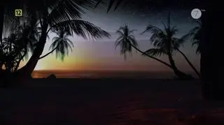 Zapowiedź 7. edycji "Hotelu Paradise"