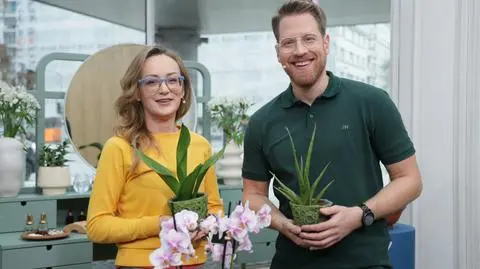 Jakie kwiaty wybrać do łazienki?