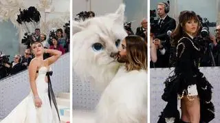 MET Gala 2023. Kto zachwycił na czerwonym dywanie? 