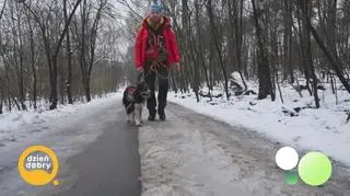 Oto pies, który lata, pływa i się wspina