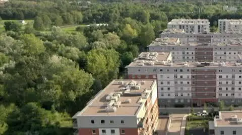 PATODEWELOP WROCEK 3MIN