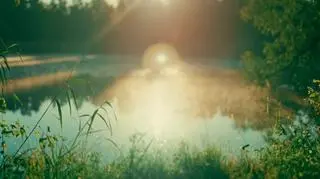 Dzień Dobry Wakacje: co będzie w programie w sobotę, 12 lipca 2025 roku?