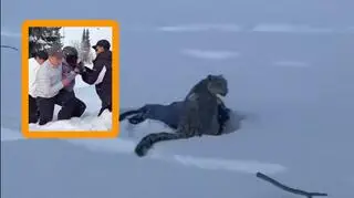 Turystka chciała selfie z irbisem. Sekundy później doszło do ataku 