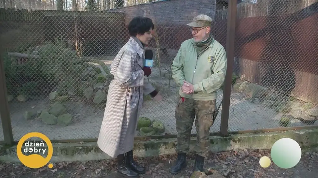 Klatka kluczowa-264775