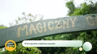 Stworzyli tajemniczy ogród 