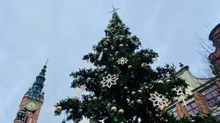 Gdańsk. Dwie kobiety weszły na podest choinki i wpadły do środka