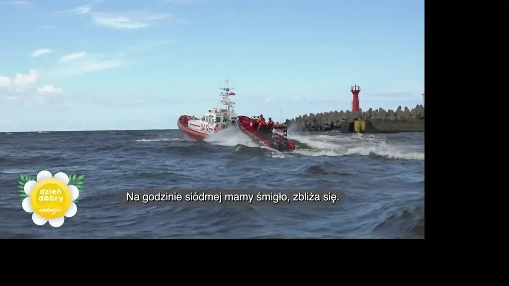 DD_2040804_SAR_REP_napisy